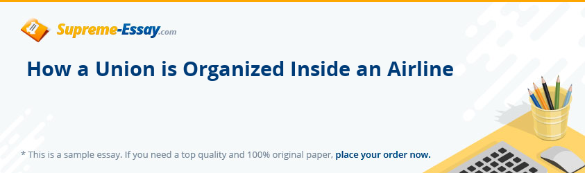 How a Union is Organized Inside an Airline