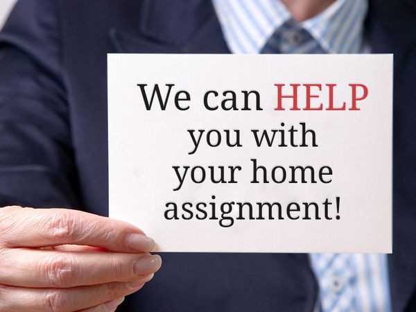 Can We Do Your Homework? Yes, We Can!
