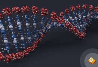 Completing a Winning Research Paper on Genetic Engineering Completing a Winning Research Paper on Genetic Engineering