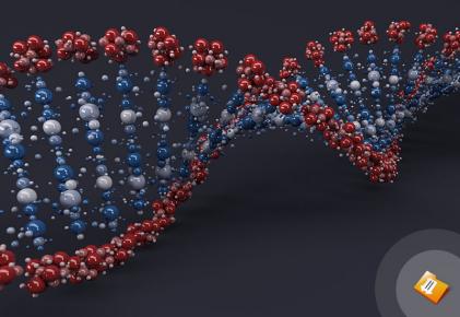 Completing a Winning Research Paper on Genetic Engineering